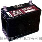 供应大力神蓄电池C&D 12-100 LBT