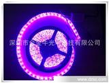 台湾芯片 高亮度5050 30灯滴胶 *水 不*水 LED灯条、灯带