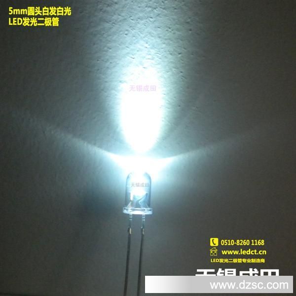 F5白灯,5mm圆头白光LED灯珠,低光衰白光,宁波,余姚,上海LED