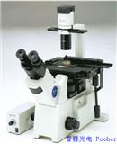 【奥林巴斯IX53】 OLYMPUS IX53倒置显微镜