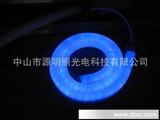 LED柔性霓虹管（蓝色）、软灯条、LED柔性灯带、装饰灯、户外景观