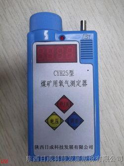 供应氧气检测报警仪CYH25