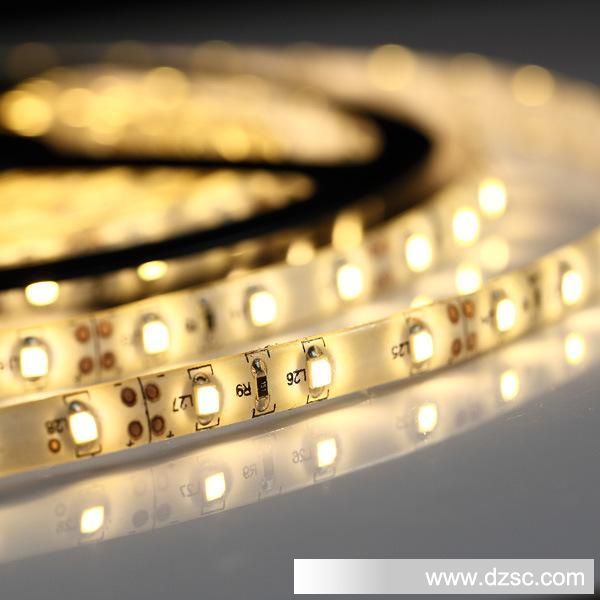 3528 Led Strip_60LED_IP44WW02