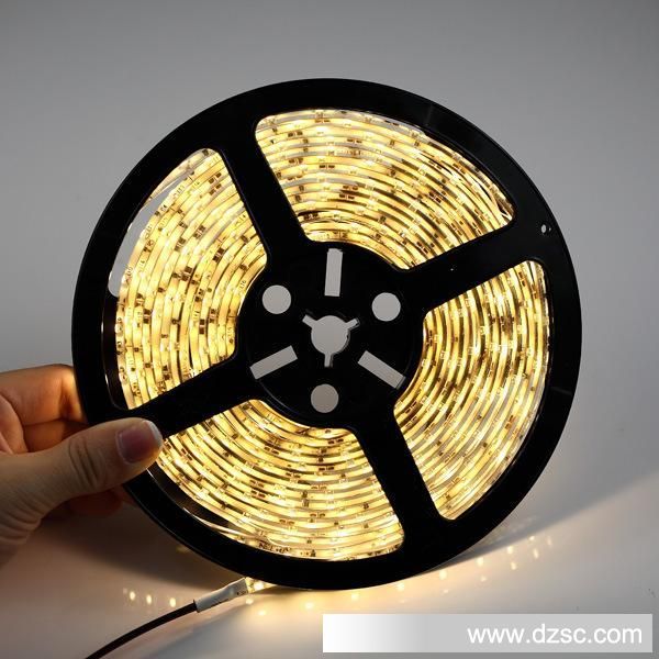 3528 Led Strip_60LED_IP44WW03