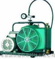 供应宝亚呼吸器充气泵 呼吸器用空气压缩机