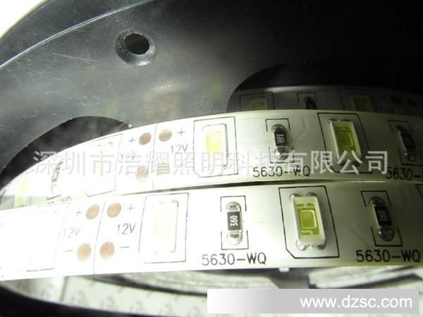 5630SMD-S60-W (4) - 副本 - 副本