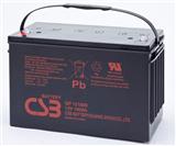 GP121000美国原装CSB电池