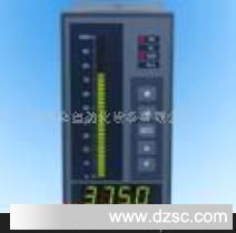 XST单输入通道仪表