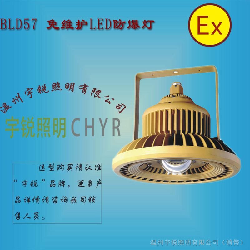 KHD110（专业品质）LED防爆高效节能灯，KHD110 30W