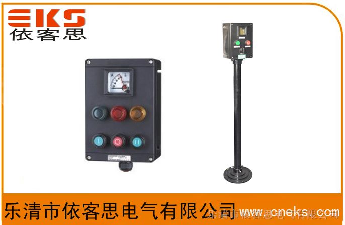CBFK8060-A2D2L防爆控制箱，CBFK8060-A2D2K1L
