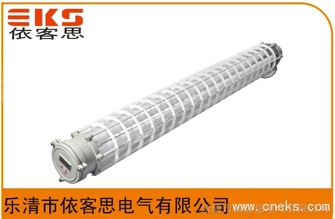 防爆荧光灯DCY51-2×40W、1 x 40W、2 X 30W