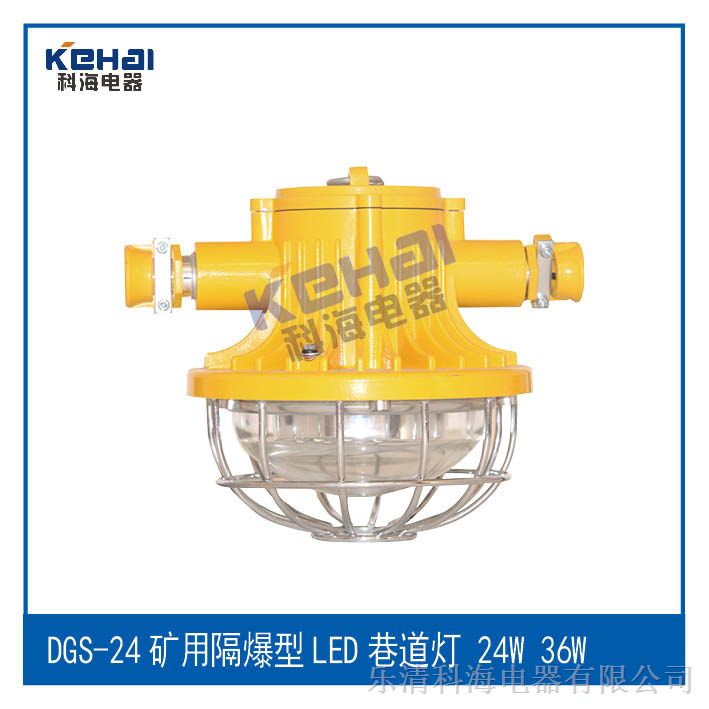 供应DGS24/127L(A)，DGS24/127L(A)矿用隔爆型LED巷道灯