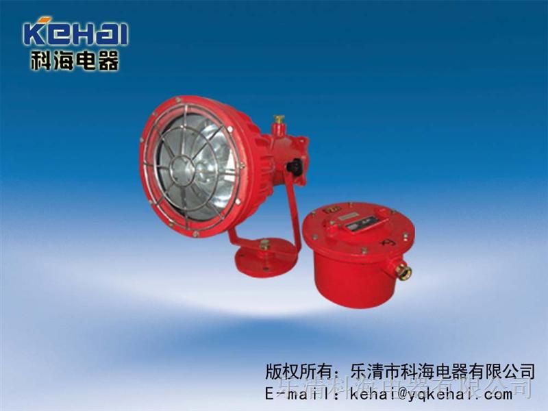 乐清科海供应矿用隔爆型投光灯，DGC175/127矿用隔爆型投光灯