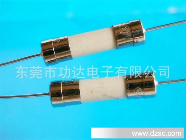 5×20mm双帽引线陶瓷保险丝