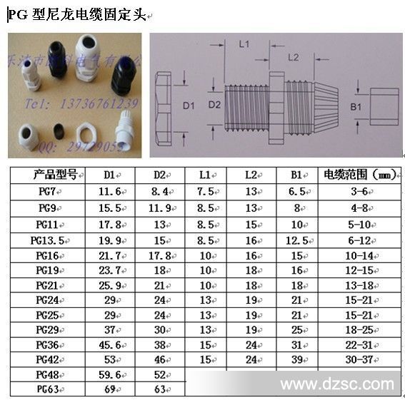 PG尺寸原图