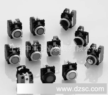 代理商直供，日本和泉，IDEC，LF2D-E3G-2W-200  LF2D-E3G-2W-300