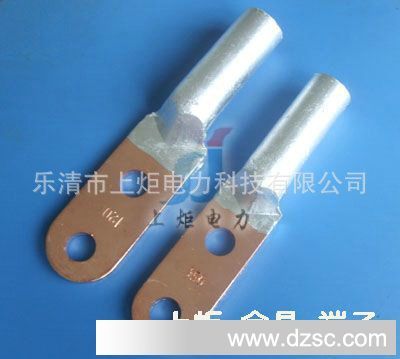 供应DTL-2-16双孔铜铝鼻,铜铝过渡端子,双孔铜鼻子