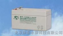 供应台湾赛特蓄电池BT-6M1.3AC办事处批发价格