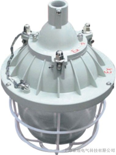 BAD51-N100W/110W隔爆防爆灯、防爆钠灯、高压钠灯生产厂家
