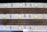海林软灯带 LED软光条 防水软灯带 5米每卷 厂家直销