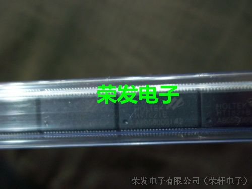 芯片HT1621B 集成电路SSOP-48液晶芯片