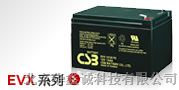 CSB蓄电池GP12340UPS工频机专用