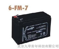 6-FM-120科士达蓄电池（12v120ah）