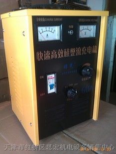 供应天津12V电瓶充电器