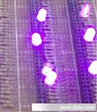 紫光LED375-380NM