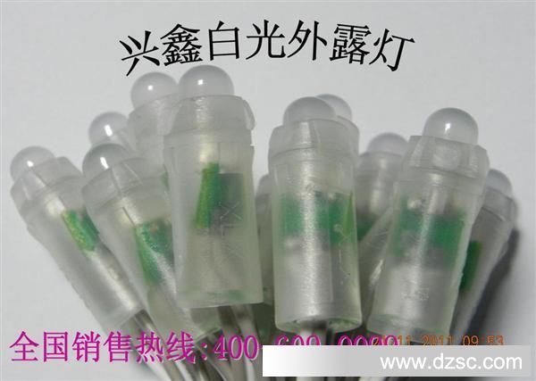 兴鑫厂家直销丽江市质量的12mmLED白光LED灯串