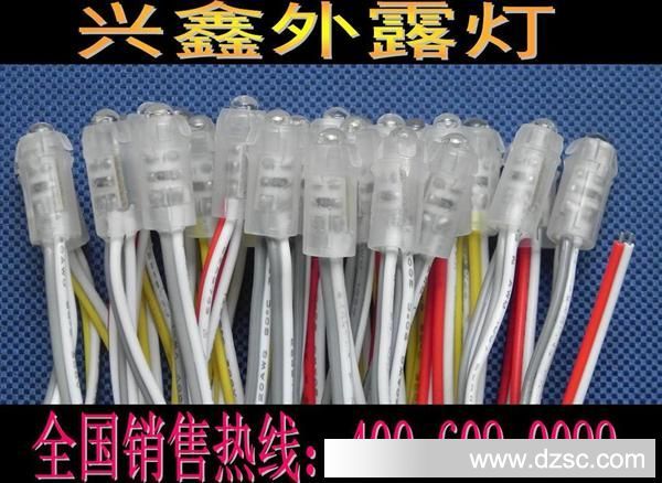 供应批发广西贺州市LED防水等级的LED单色外露灯串