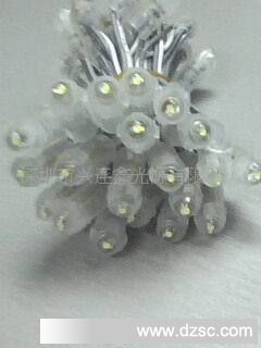 供应批发广西桂林市LED防水等级的LED单色外露灯串