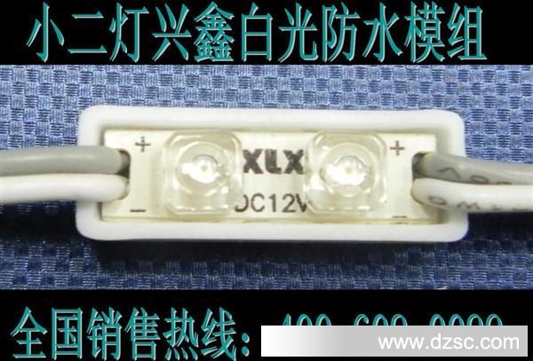 兴连鑫LED光源供应韶兴市XLX-R02F02-X小型发光字模组