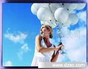 sell 12.1 inch wide Viewing Angle TFT LCD