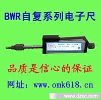 供应印刷机电子尺  BWL
