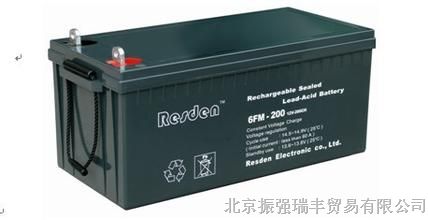 雷斯盾RSD12v24AH蓄电池新能源
