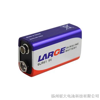 6LR61/9V碱性电池