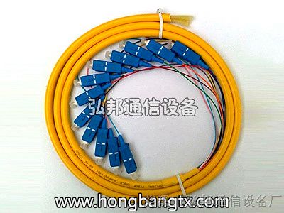 供应光纤尾纤 12芯束状尾纤