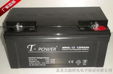 供应T-POWER NP65-12 耐康UPS/直流屏电池厂家