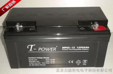 ӦT-POWER NP65-12 ͿUPS/ֱس