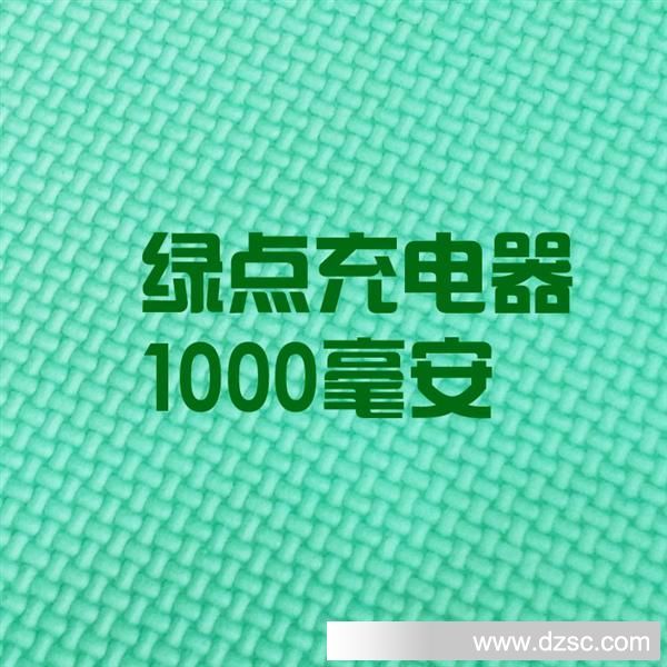 绿点充电器1000