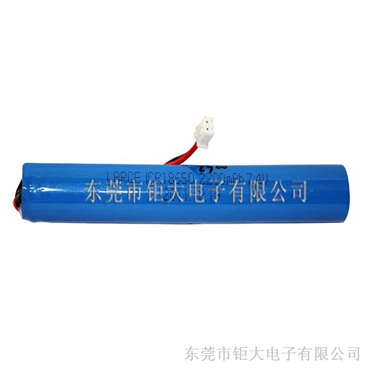 广东锂离子电池