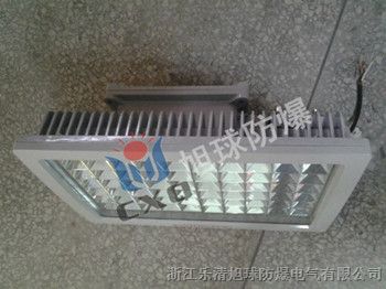 LED防爆灯100w,武汉加油站防爆LED灯