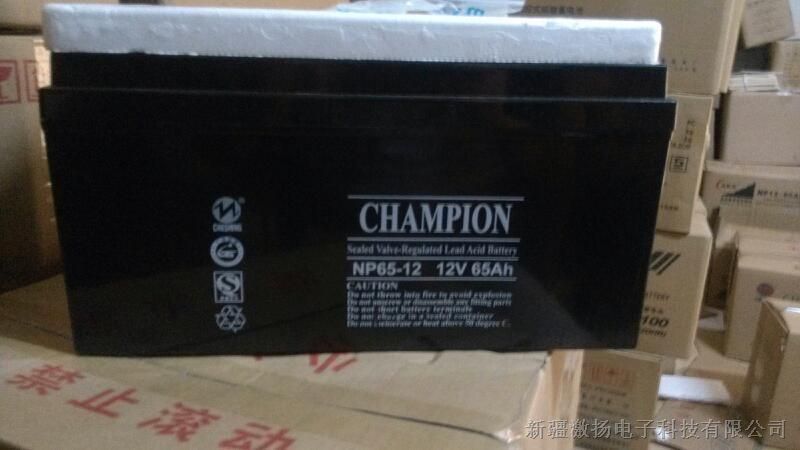 蓄电池12V100AH蓄电池总代理