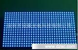 优质的LED蓝光显示屏 P10蓝光单元板厂家找 冠晨光电