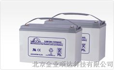 理士蓄电池DJM12100(12V100AH)LEOCH蓄电池