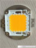 厂家现货大量LED大功率集成金黄光/低光衰