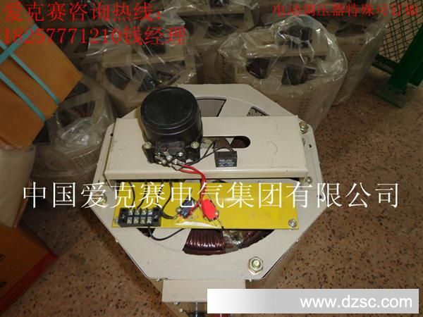 【厂家热销 质优价低】供应上海竞克赛牌TDGC2/TSGC2电动调压器
