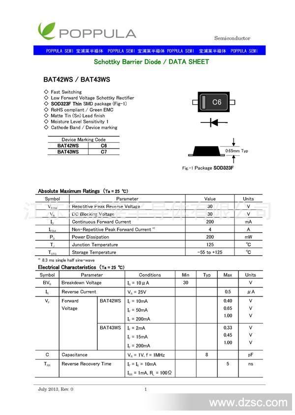 BAT42WS-1307-00_页面_1