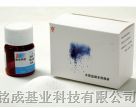供应连华总磷试剂盒LH-P1P2-100